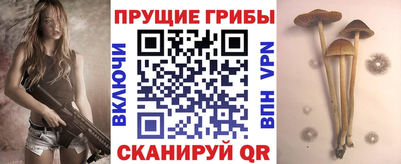 Псилоцибиновые грибы Psilocybine cubensis  гидра ТОР  Дальнегорск 